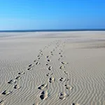 La Perle D\'Ostende